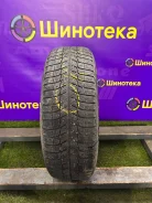 Michelin X-Ice. ������, ��� �����, �/�, ����� 10 % ����