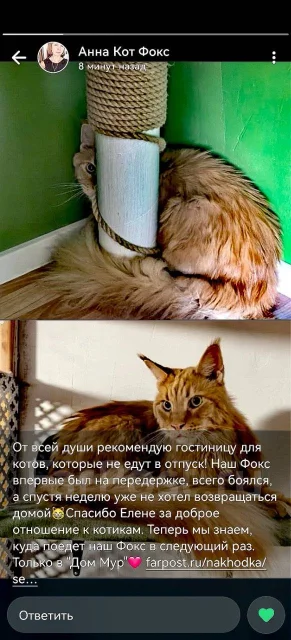 ���������� ��������. ����