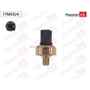 ������ �������� ����� 77MS024 77MS024 ����