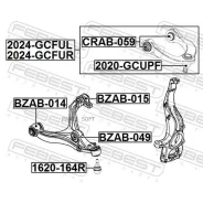 ����� ������� | ����� ��� | Febest 2024Gcful 2024GCFUL ����