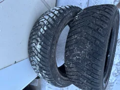 Kelly Winter Ice. ������, ����������, 2019 ���, �/�, ����� 20 % ����