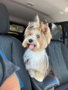 ���� ����������� ������. ����