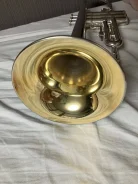 �����. ����