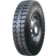 ���� Forza REG T