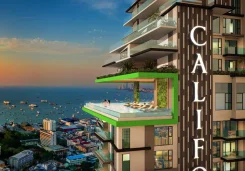 Riviera California � ������������ ������, ����������� ������-���� ����