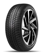 Roadstone Winguard Ice Plus