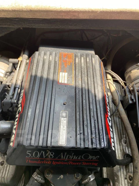 Bayliner. ��������� ������������, 230��.�., ������ ����