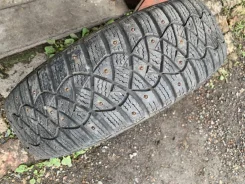 Avatyre Freeze. ������, ����������, �/�, ����� 5 % ����