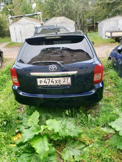 Toyota Corolla Fielder. ��������, ��������, 18.0, ������, 213����. �� ����
