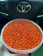 ���� �������. ����