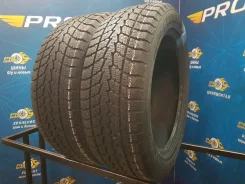Toyo Winter Tranpath S1