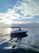 Bayliner. 2008 ���, ����� 5,9��., ��������� ������������, ������ ����