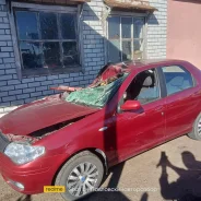 Fiat Albea. CEDAN, M13 ����