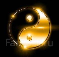 ����������. OOO ����-����. ����� ������ 11� ����