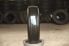 Annaite 366. �����������, 2024 ���, ����� ����