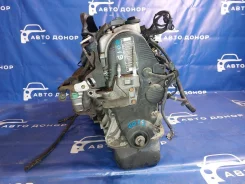 ��������� Honda Stream RN1 D17A 11000-PLM-800 11000PLM800 ����