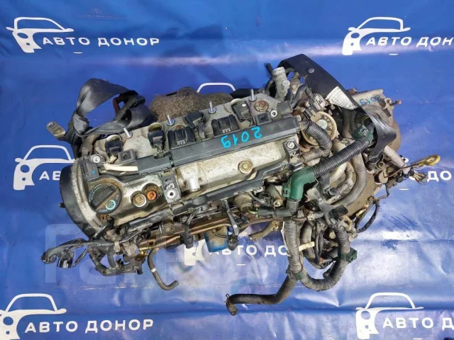 ��������� Honda Stream RN1 D17A 11000-PLM-800 11000PLM800 ����