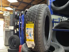 Tercelo Winter Defender. ������, ��� �����, 2025 ���, ����� ����
