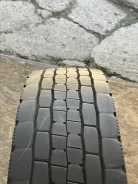 Dunlop Dectes SP680. �����������, 2020 ���, �/�, ����� 20 % ����