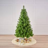 ���� �������������. ����