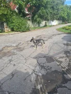 ������. ����