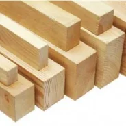 ������ ����������. ����