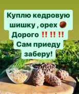 ������ �������� ����� � ���� ����