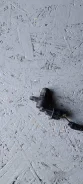 ������ ��������� ������������������ ���� Chery A113611011 A113611011 ����