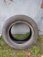 Triangle TR797. ������, ��� �����, 2020 ���, �/�, ����� 20 % ����