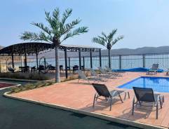 ���������. ����