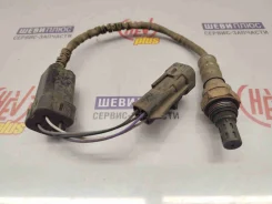 ������ ������ Tahoe GM 19209815 19209815 ����