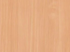 ���� 2750�1830 �16 �� ��� ������� (��������� ����) ���� ����