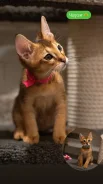 �����. ����