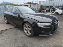 Audi A5. 8T, CDN ����