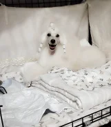 ���������� ������. ����