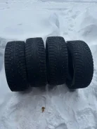 WolfTyres. ������, ����������, 2018 ���, �/�, ����� 30 % ����