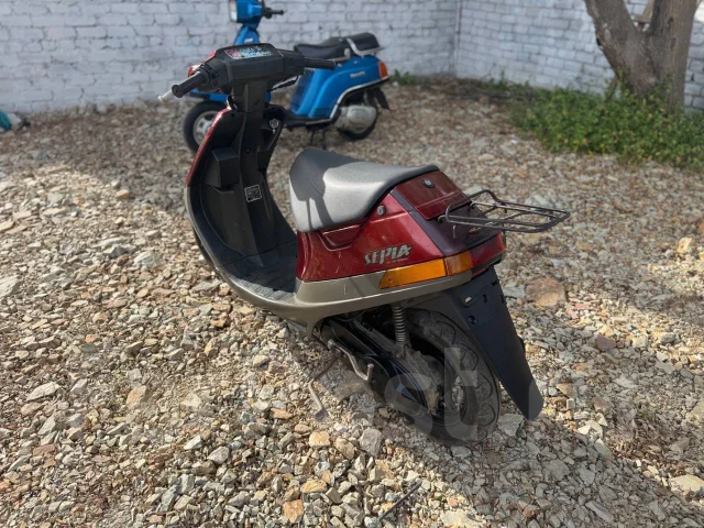 Suzuki Sepia. 50����. ��., ��������, ���������, ��� ������� ����