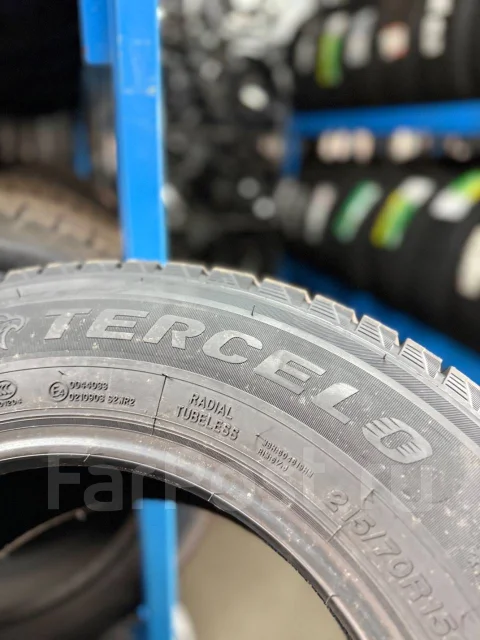 Tercelo Winter Defender. ������, ��� �����, 2025 ���, ����� ����