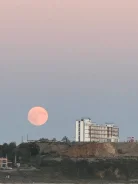 ��� ��������� + �������� ��� ������������� ��������� � ������� ����