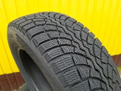 Fortune Polaro Snow. ������, ��� �����, 2025 ���, ����� ����