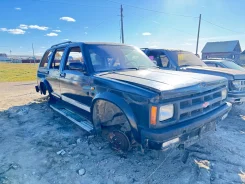 Chevrolet Blazer. 1GNDT13Z3R1273172 ����