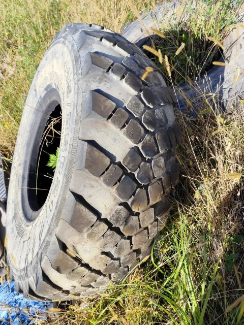����-1260. �����������, 2019 ���, �/�, ����� 50 % ����