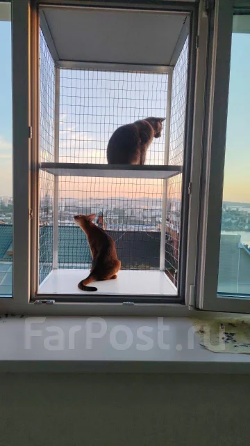 �������, �������� ����������. ��� ����� �� ������������ ����
