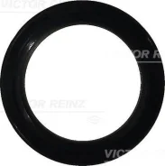 ������� ������������������ ���� Victor Reinz 813862700 813862700 ����