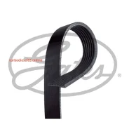 ������ ������������ XF 78427 Gates 7PK1770 7PK1770 ����