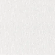 ���� ����� ������ ����� �� ����� 1,06*10.05� ���.1729-62 132406 ����