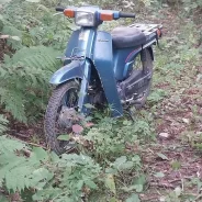 Suzuki Birdie. 49����. ��., ��������, ��� ���, ������ �� �� ����