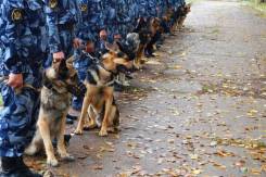 �������. ��� ���-23 ������ ������ �� ����������� ����. �������� ���������� 3� ����