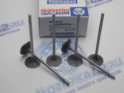 ������ �������� Brave GM F18D4, Z18XER BR. EP.6.21-in BREP621IN ����