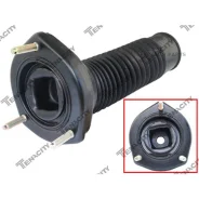 ����� ������������ � ��������� Tenacity (1965) Asmto1129 Asmto1129 ASMTO1129 ����
